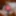 Pornojuice 2024