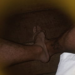 Dia A dia 