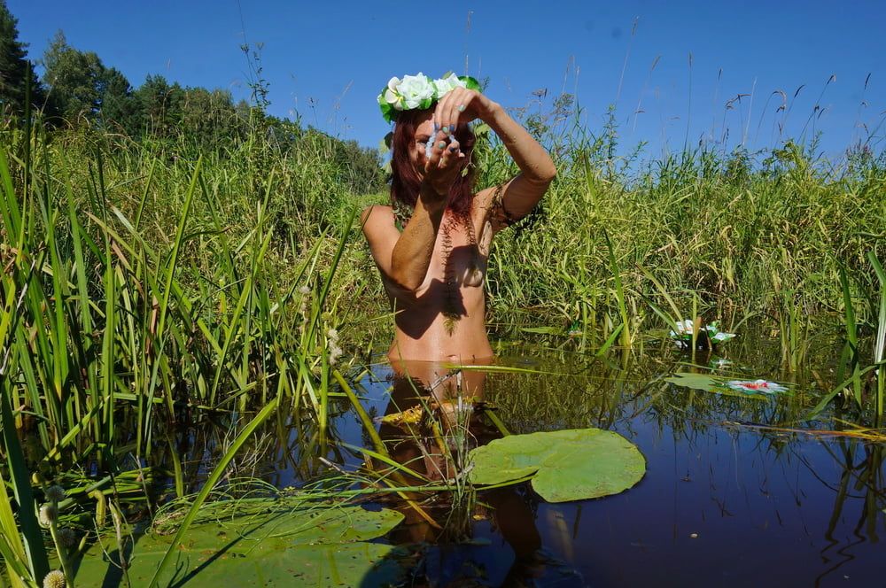 In pond with waterflowers #19