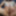 Big Condom Cumshot &amp; White Bikini #15