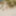 Mlif Muschi nackt am Strand in Mesquida