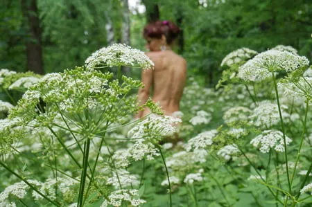 in white flowers           