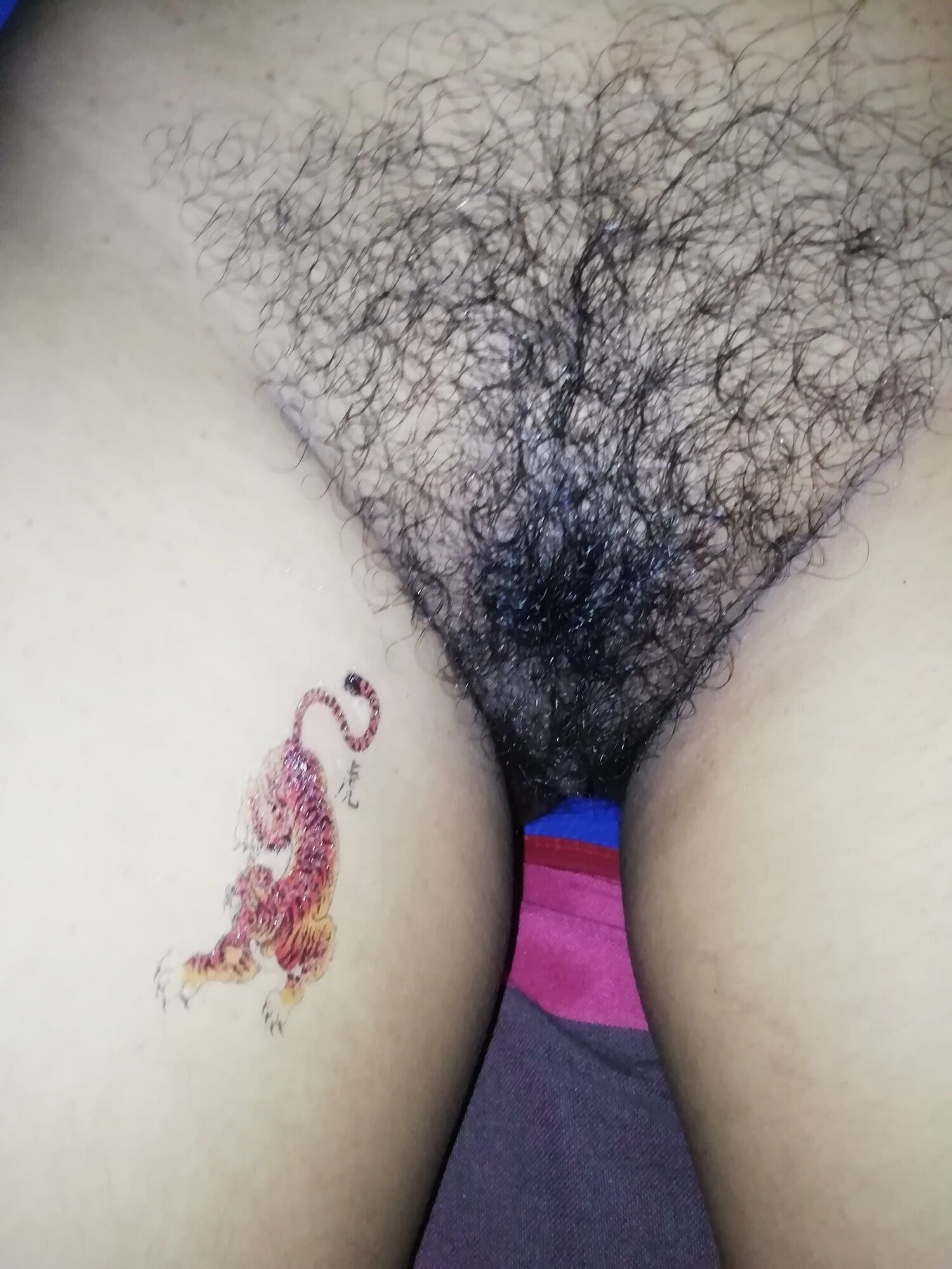 Tiger Tattoo On Pussy #8