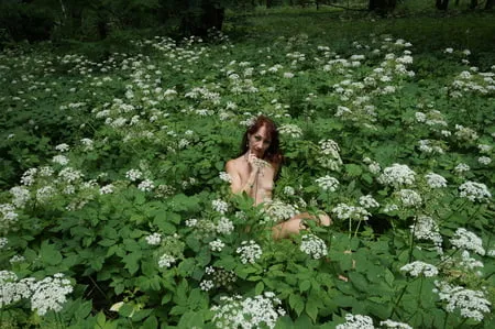 in white flowers           