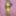 Joanie - Yellow Pencil Dress II #38