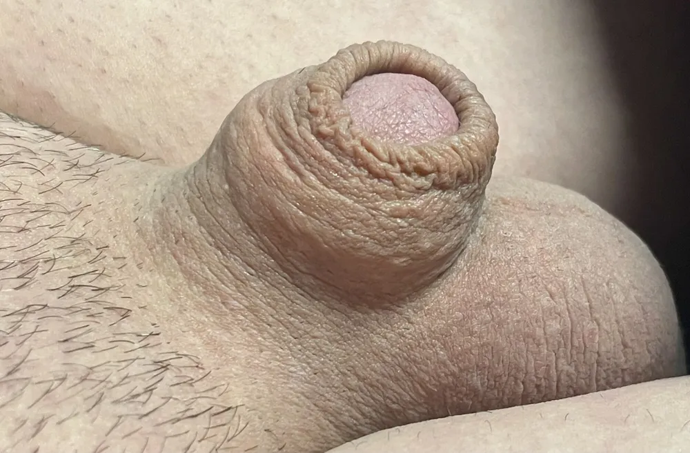 Cute, tiny micro cock #4