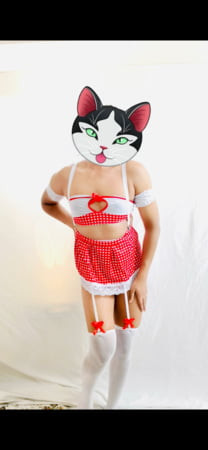 Pussy cat
