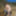 Flroian Johannes Mueller nude at the beach #10