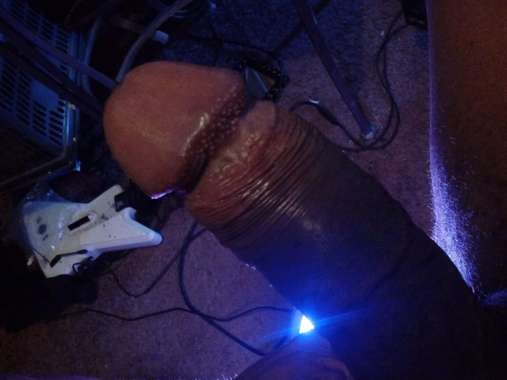 my meat #18