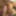 4k Giant Nipples Msnovember # 5 Big Black Boobs Hardcore 