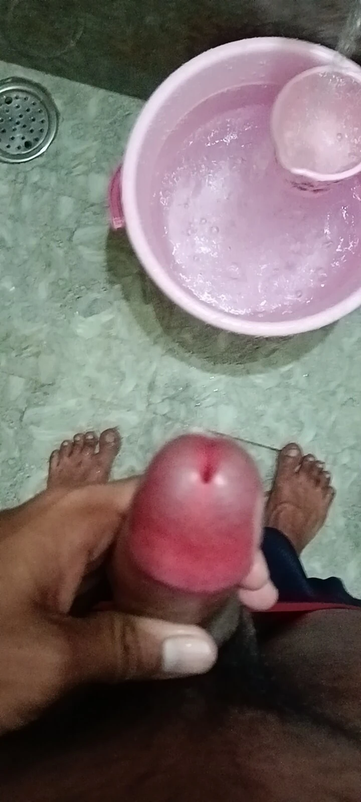 Young Cock 