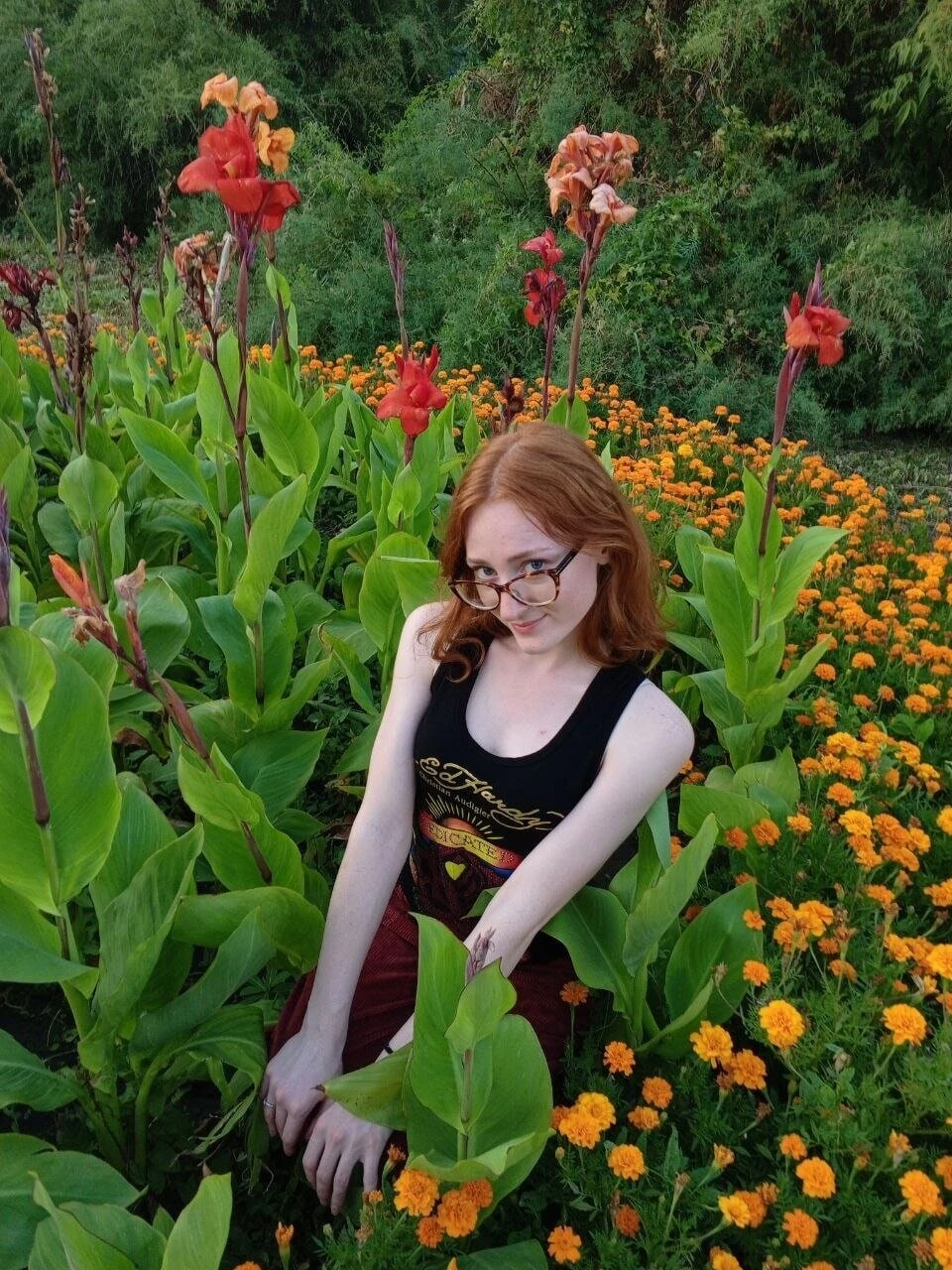 Alice Free Photos #6