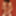 Orgasm at public art exhibition in front of a red wall #20
