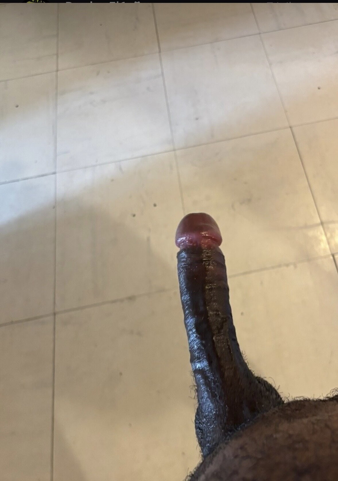 Bite moyenne 