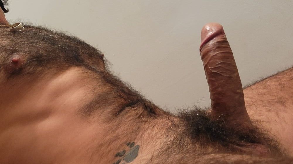 Hairy big cock #8