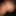 New 2019 #8