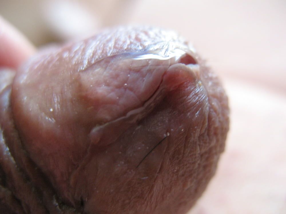 Cute little cock with precum #8