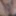 FTM Hairy Pussy Creampie