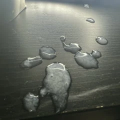 Post Cum Shots