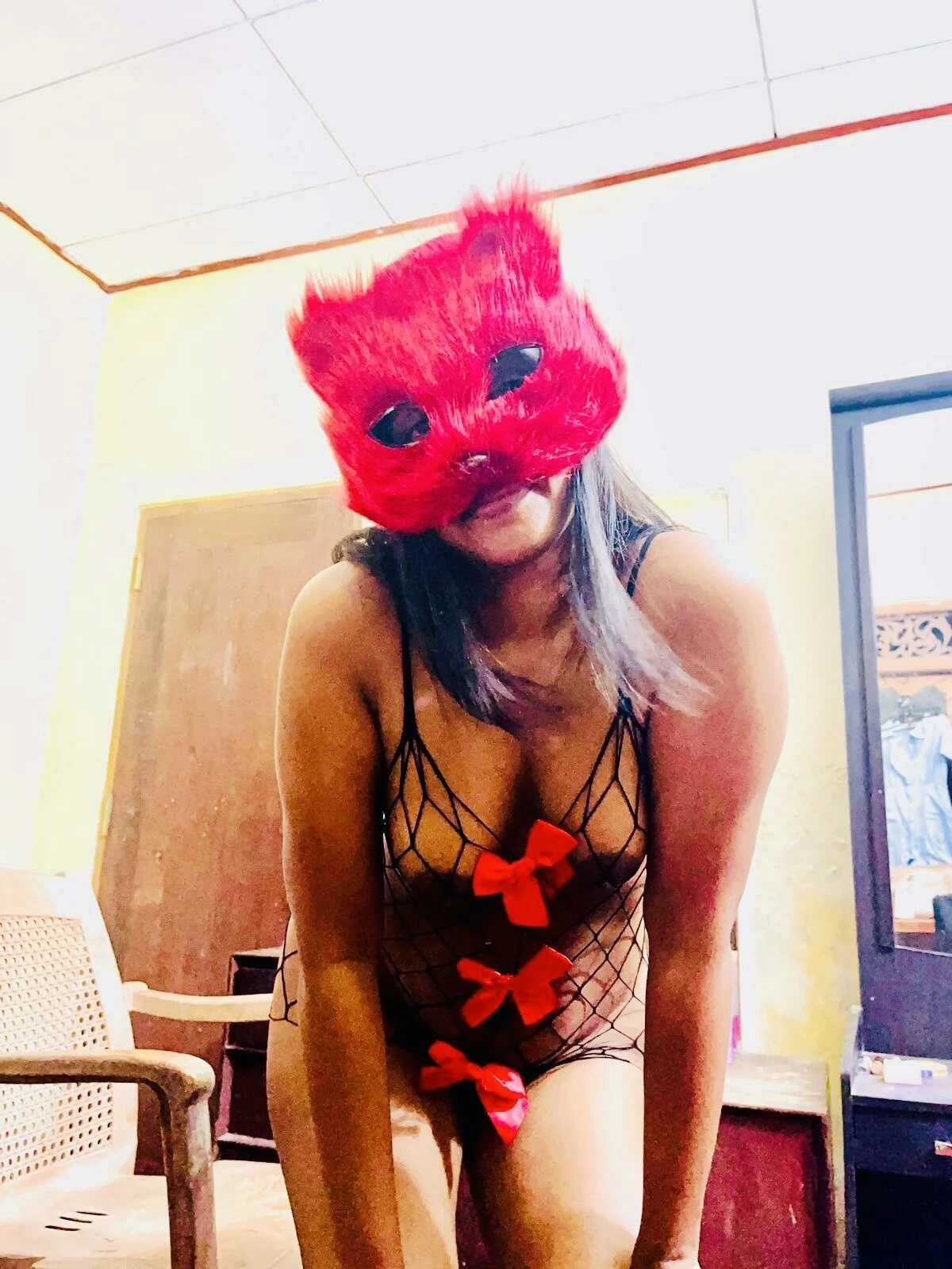 Wild cat