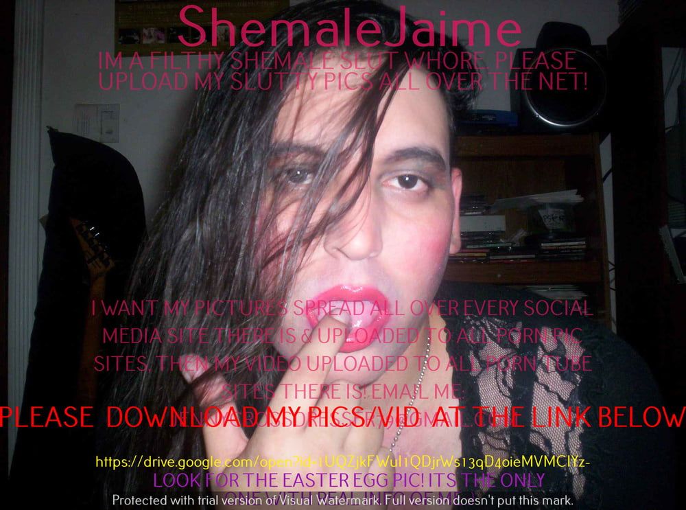 ShemaleJaime #17