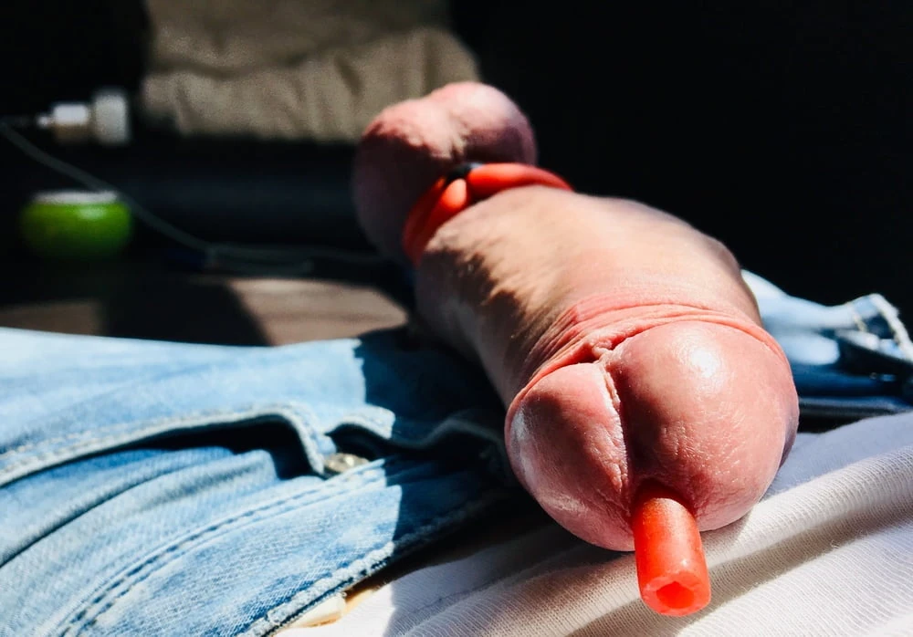 Cockring #6