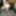 FEMOUT.XXX: The Camera Never Lies