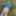 Cover up, reveal #47
