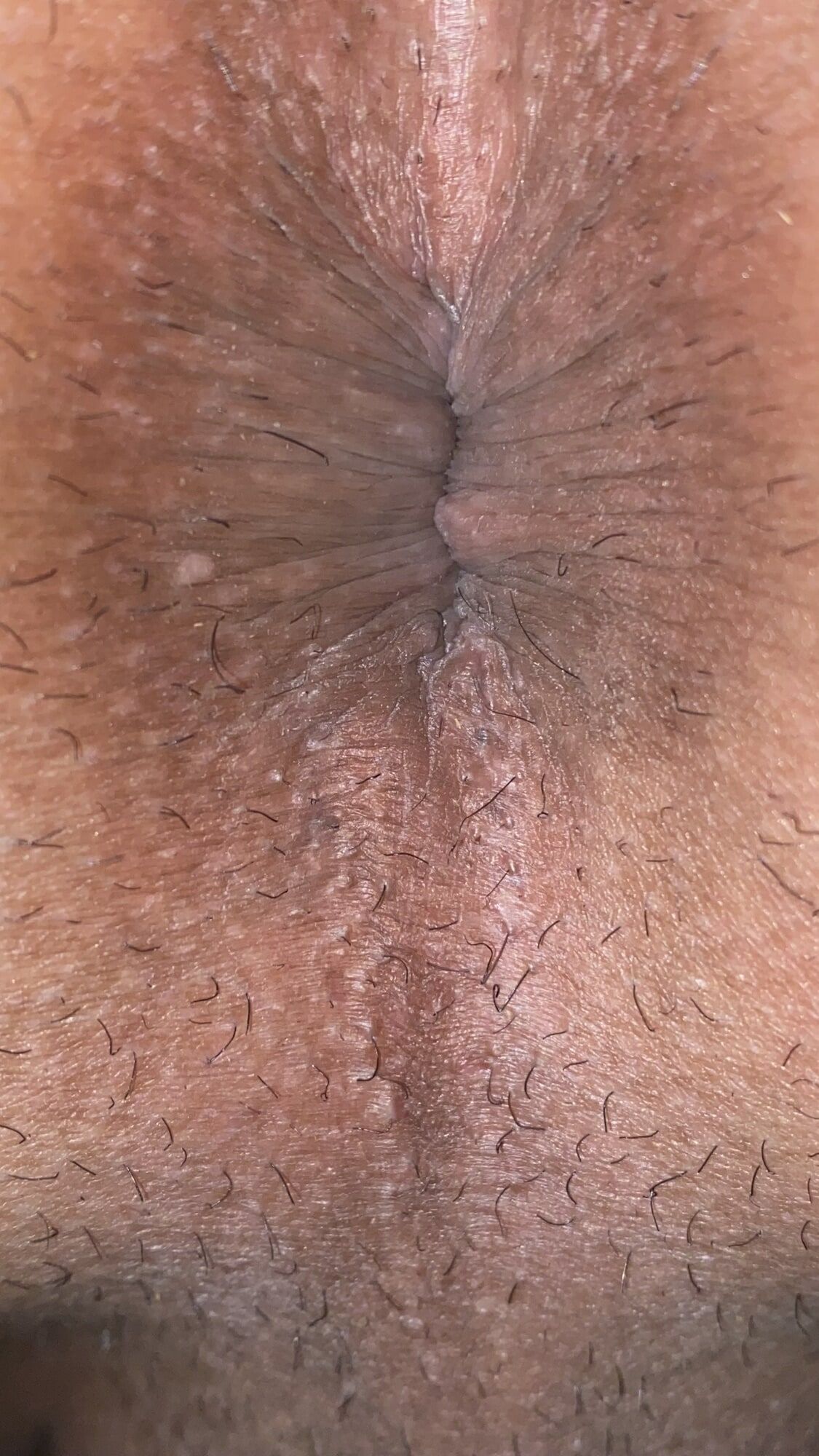 Close-up of a man's anus #24