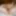 Sakura Kirishima bodystocking orgazmı