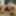 SEXUAL FANTASIES - SHARING DILDO AS A COUPLE BISEXUAL 2 #18