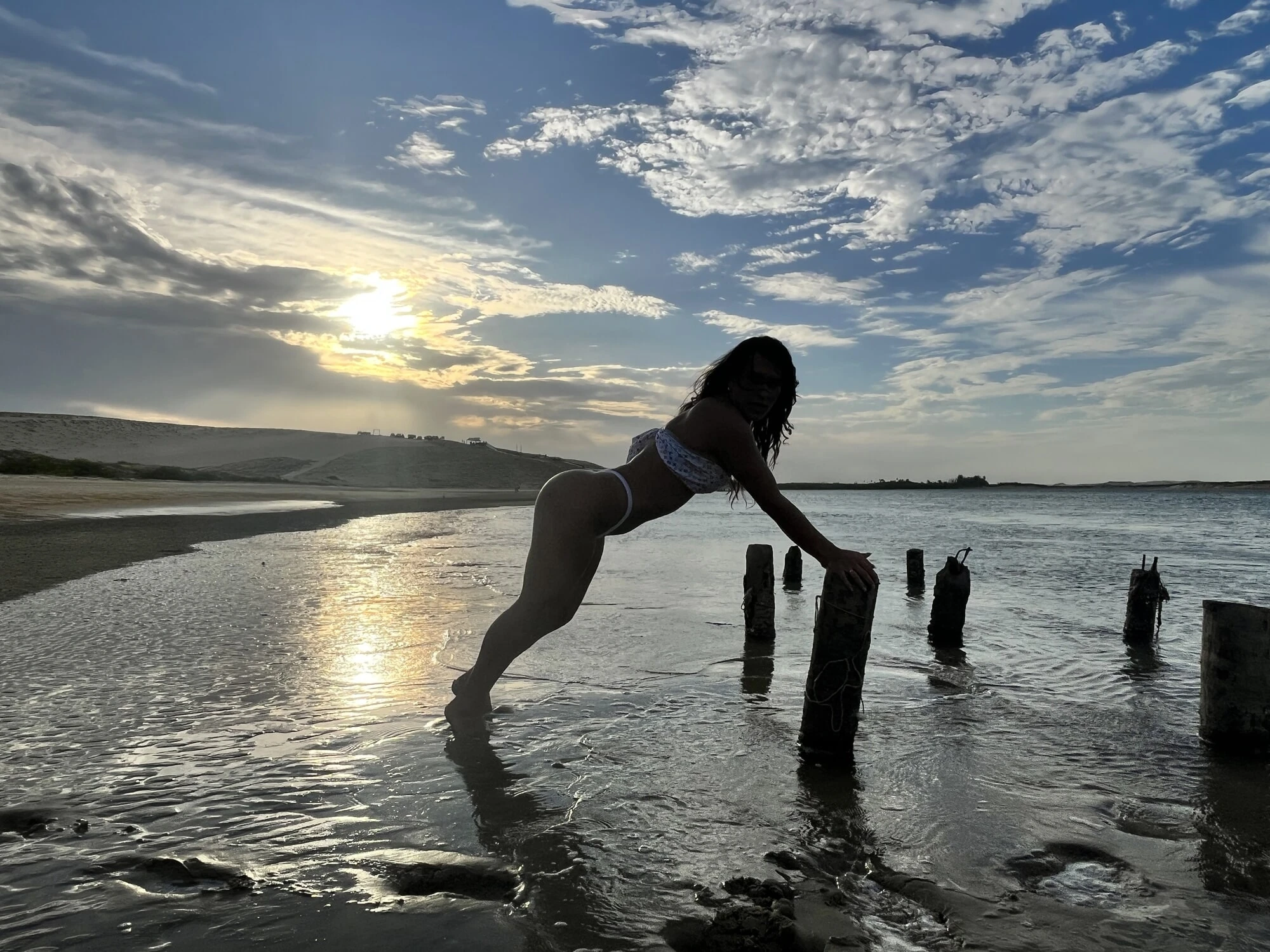 Brazilian Summer  #10