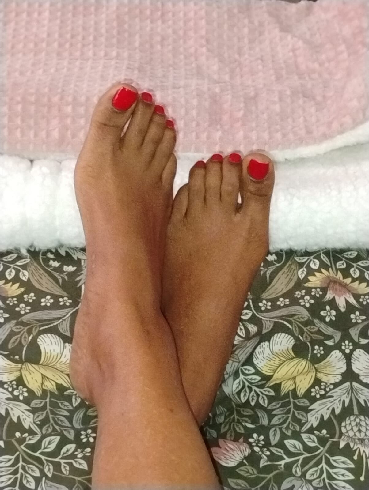 My Cute Little Piggies  