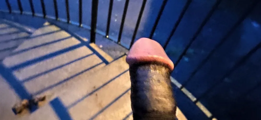 My Public Cock flash