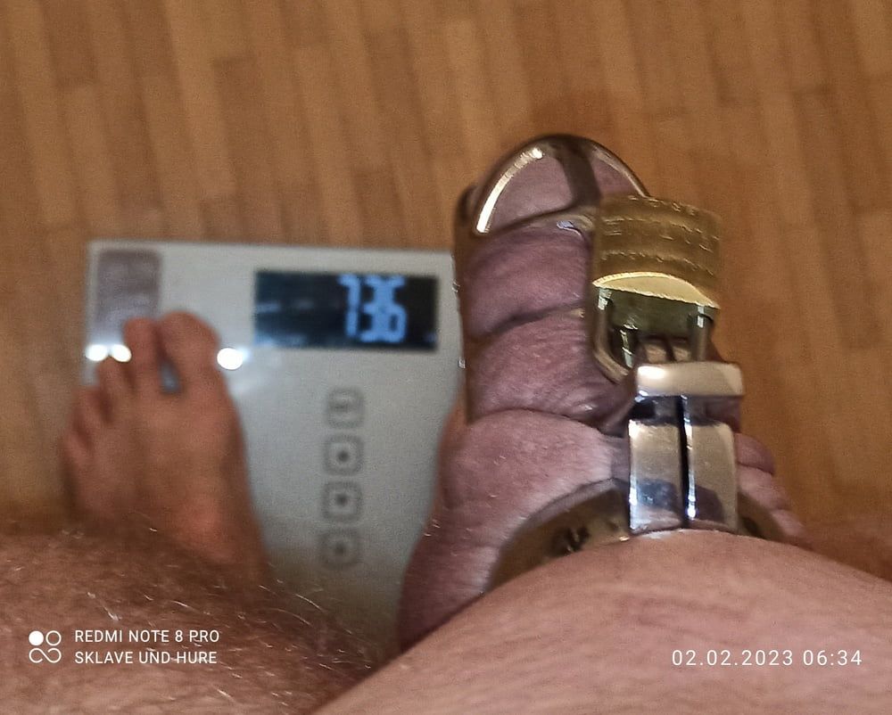 weighing, nippletorture and cagecheck of 02.02.2023 #14