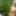 Sexy Druid Women in the Forest - HD - Teaser