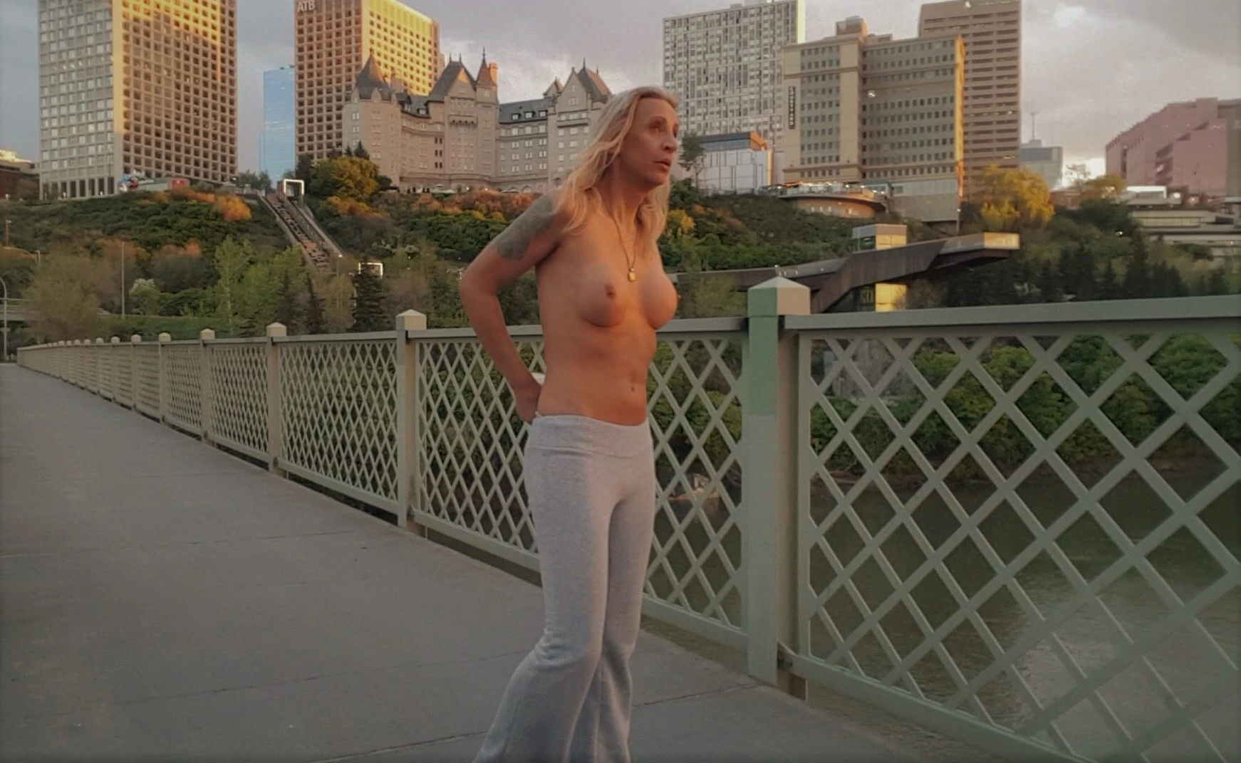 Tits on a bridge. #41