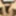 Lindaasian-ts for Master DOM_isil (part 2). #35