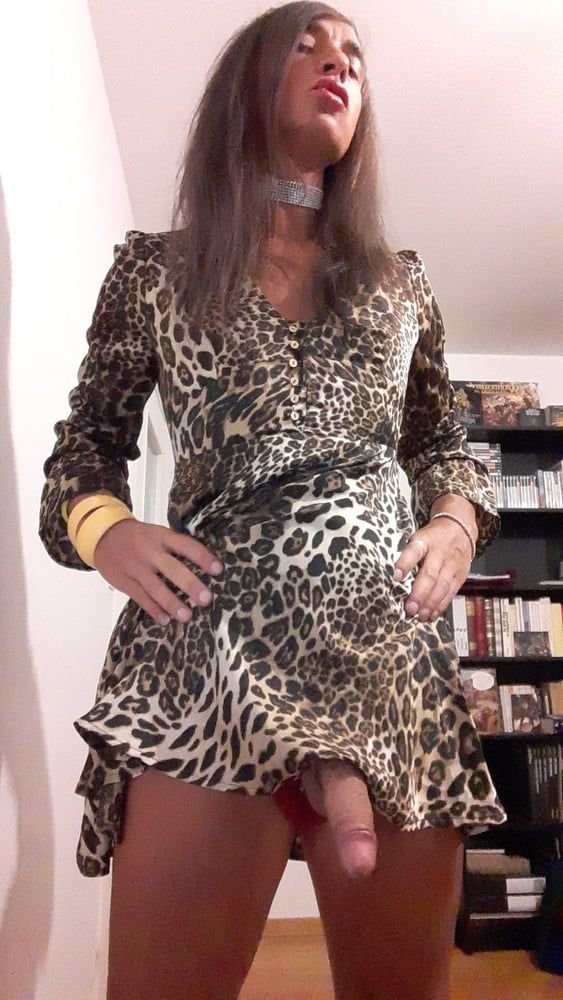 Sissy Tygra in leopard dress on 2019 octobre. #44
