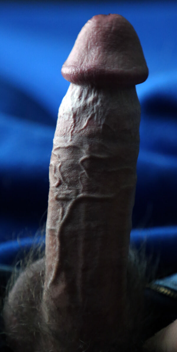 Ximd9000 Cock Pix #32