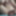 mr_S&#039;s dick