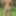 Trail fun black bikini #5