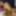 Painful Time!!! Fat Falang Cock For a Thai Teen 
