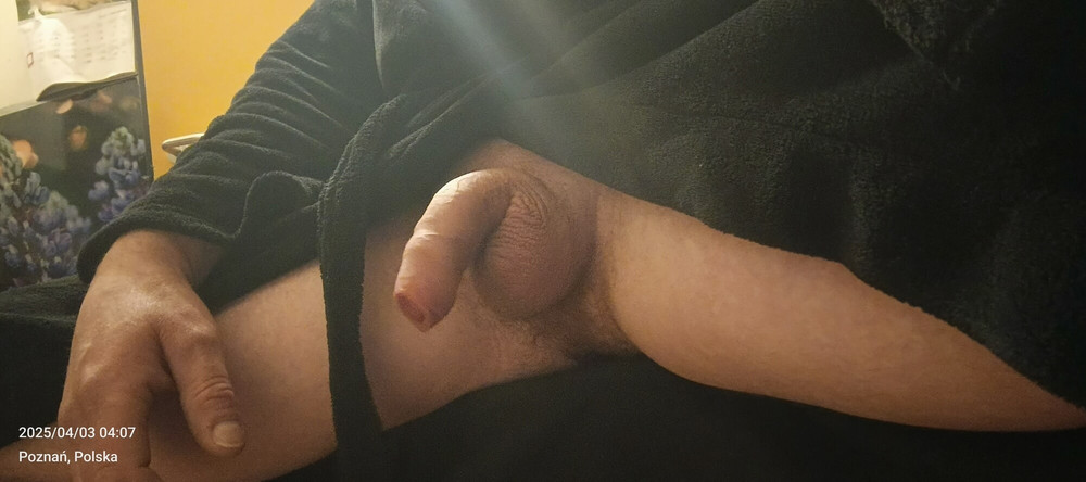 Penis #19