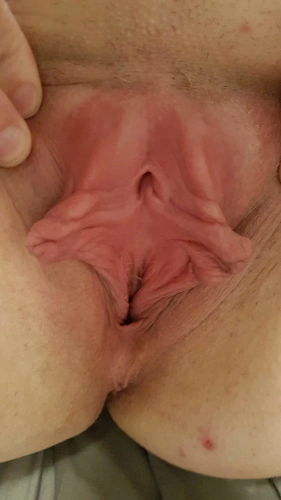 Pussy  #42