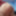 Photos Ass
