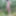 Naked in the forest