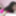 Alesia Pleasure blows a lucky geek