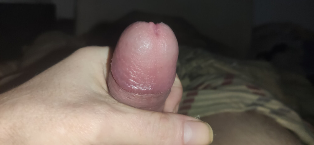 Cock with Ring #11