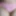 Hairy Pussy in Sexy Booty Shorts Little Panties PAWG Big Lip